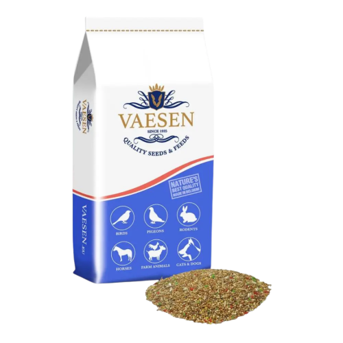 vaesen فيجن حب كروان اكل مشكل