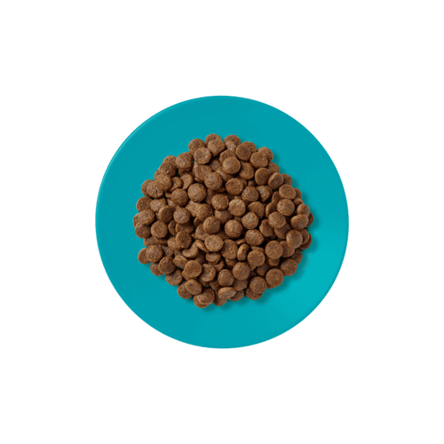 Applaws Cat Dry Food Fish with Salmon 6kg ابلاوز ط...