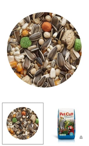 اكل ببغاء فواكه PET CUP