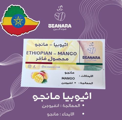 قهوة بينارا - مانجو اثيوبيا