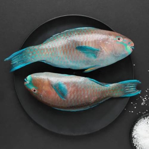 حريد طازج 500-600 جرام