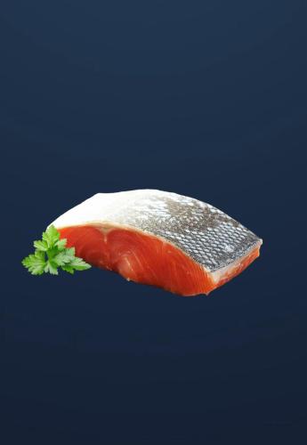 فيليه سمك السلمون مع الجلد