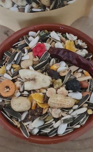 خلطة اكل للبغاوات الكبيرة