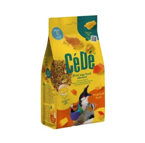 طعام بالبيض رطب (باتيه ) مويست اولاراوند بالفواكه...