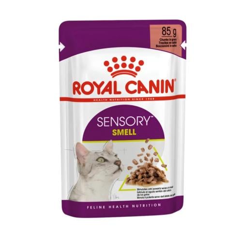 Royal Canin Sensory Smell Wet Food for Adult Cats...