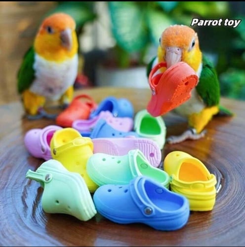 لعبة مضغ على شكل كروكس للببغاوات