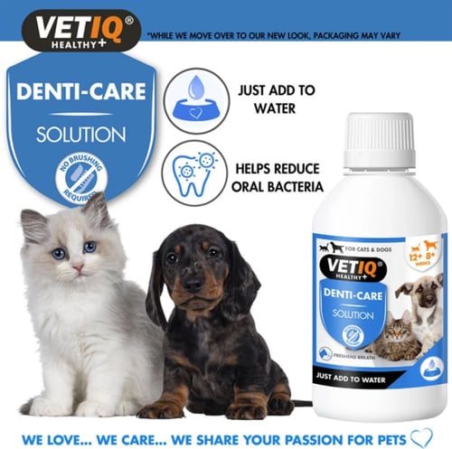 محلول العناية بالفم للقطط و الكلاب 250 مل من فيت ا...