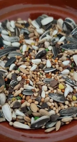 أكل طيور مشكل ( تعبئة )