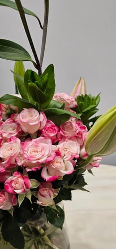 فازة الكازبلانكا الانيقه