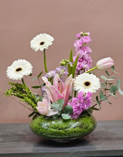 فازة هولندي كلاسيك