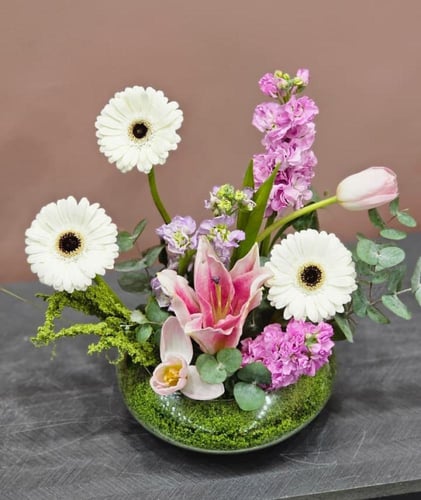 فازة هولندي كلاسيك