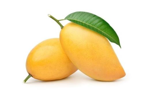 مانجو
