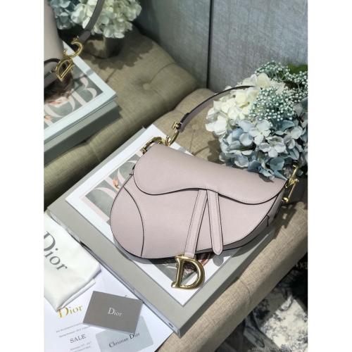 ديور سادل باق مقاس 25 سم