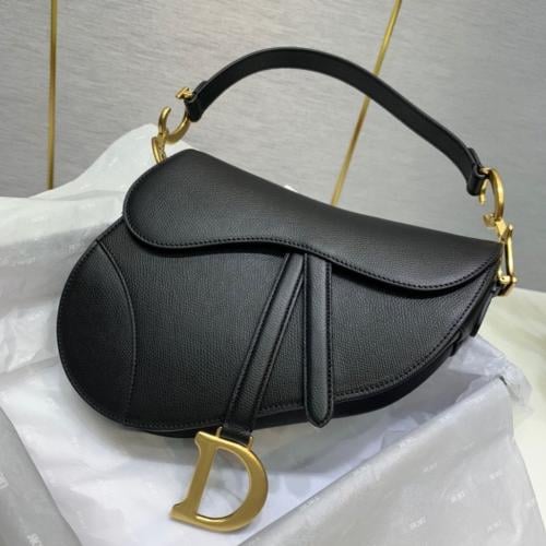 ديور سادل باق مقاس 25 سم.