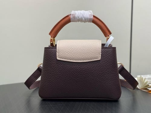 لوي فيتون كابسين ميني 21 سم