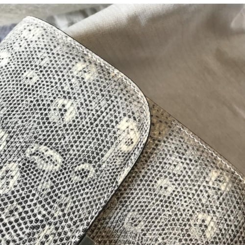 ميني كونستانس ليزرد مقاس 18 سم