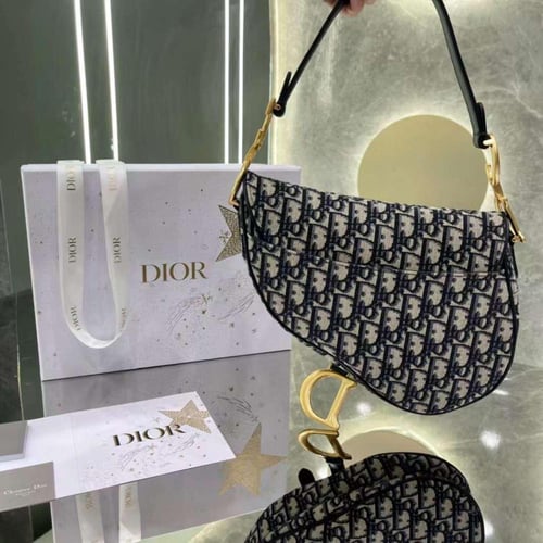 ديور سادل مقاس 25 سم