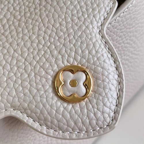 لوي فيتون كابسين ميني 21 سم