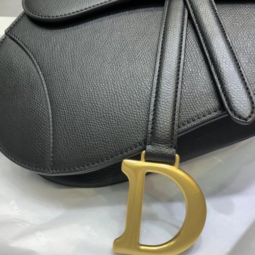 ديور سادل باق مقاس 25 سم.