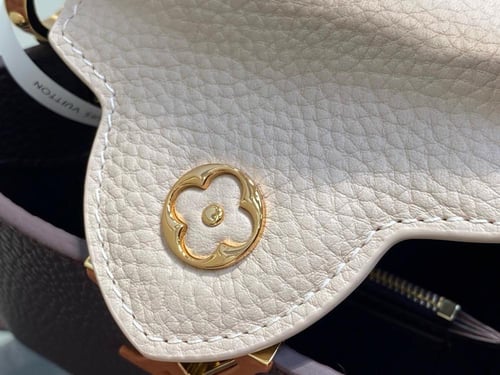 لوي فيتون كابسين ميني 21 سم