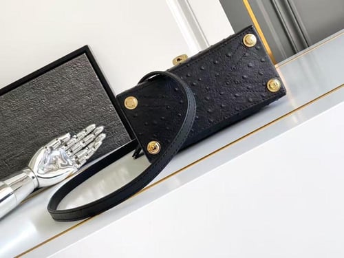 لوي فيتون Rose des Vents Mini مقاس 19cm