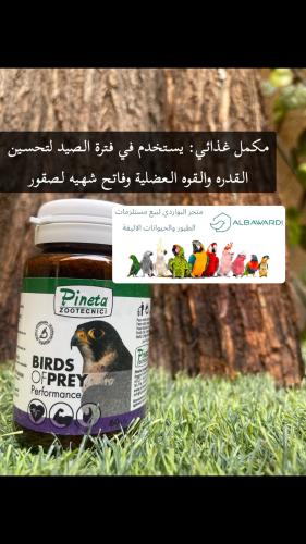 لصقور خاص فاتح الشهيه Pineta