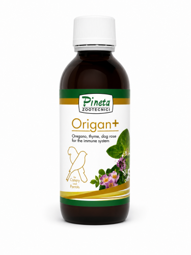 اورجان (طبيعي لرفع المناعة )250 مل Pineta