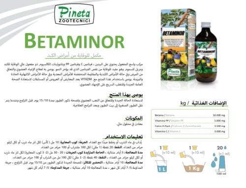 250M واقي للكبد ومزيل السموم BETAMINOR Pineta ( سا...