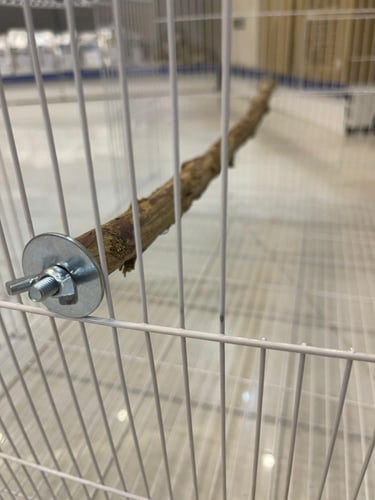 مجثم طبيعي لقفص 601 مقاس 60 سم