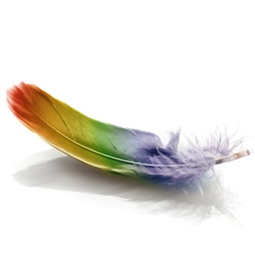 مودا بلس PET CUP خاص بالريش