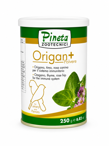 اورجان (طبيعي لرفع المناعة )250 جرام Pineta