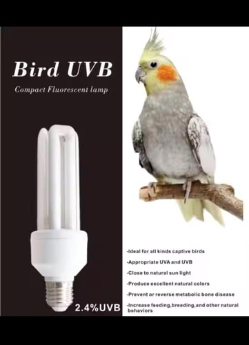 مصباح الأشعة فوق البنفسجية للطيور لتربية الببغاء ،...