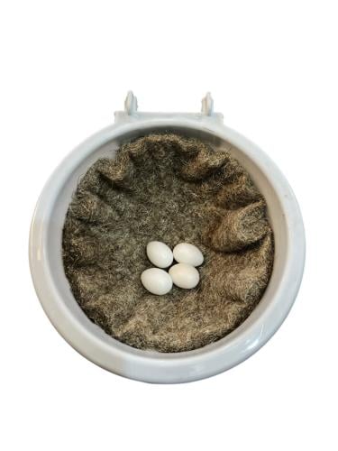 عش كناري بلاستيك ابيض عرض 12.50 سم