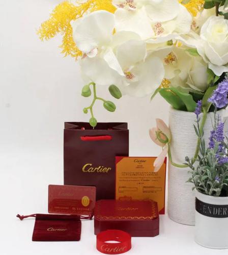 ملحقات كارتيير