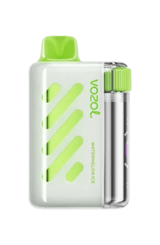 فوزل فيستا 40 الف موشة - VOZOL Vista 40000 puff 5M...