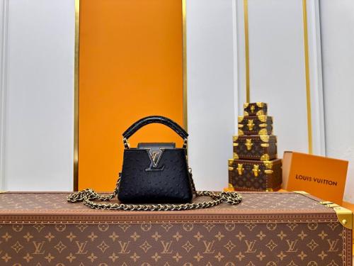 Louis Vuitton Capucines BB Bag