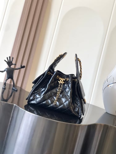 Chanel 2025 Bag