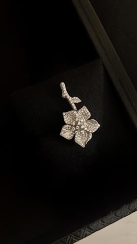 The splendor of dawn