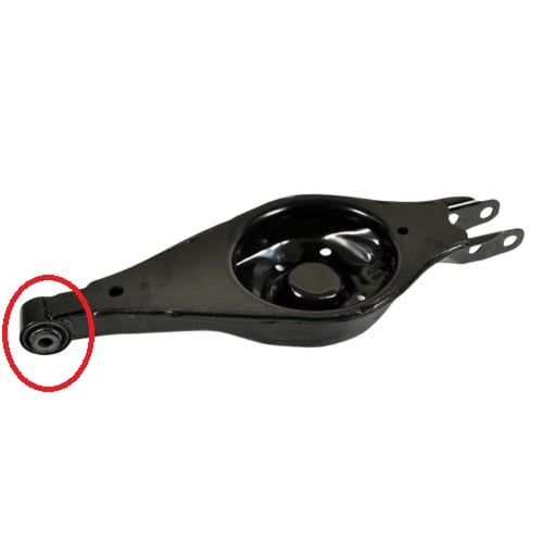 جلدة مقص خلفي تحت كبير تورس