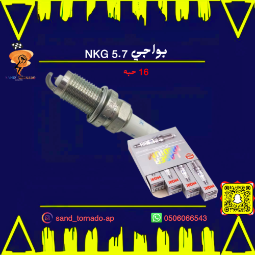 بواجي تشارجر NGK