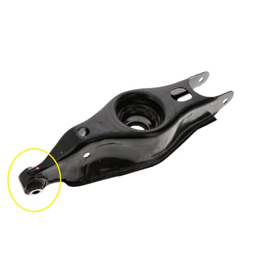 عضلات خلفية كاملة تشالنجر