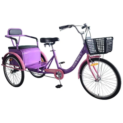 دراجة الشاطئ 24 اBeach bike with rear seat