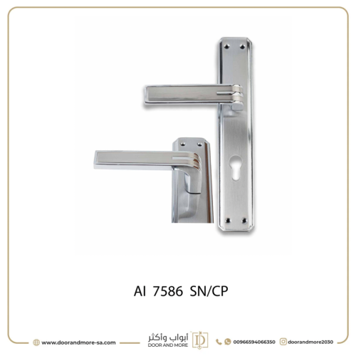 مقبض باب بليت JAYDEN لون فضي مطفي / فضي لامع