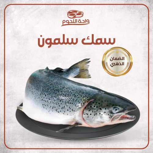 سمك سلمون I الوزن 2 كجم
