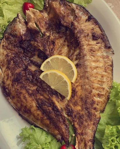 سمك دنيس طازج I الوزن 1 كجم