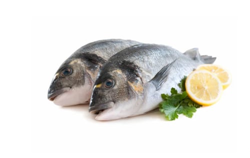 سمك دنيس طازج I الوزن 1 كجم