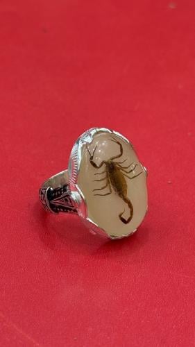 خاتم فضه بداخله عقرب