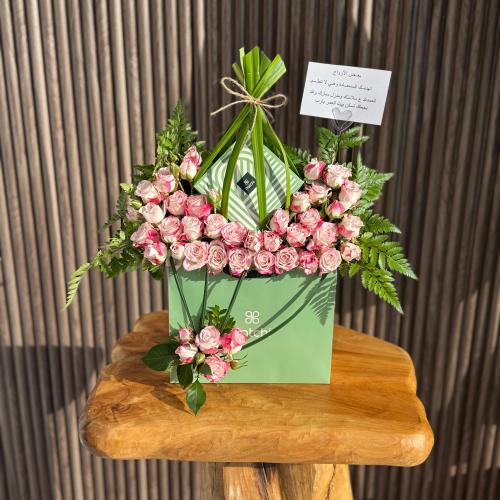 تشوكلت باتشي