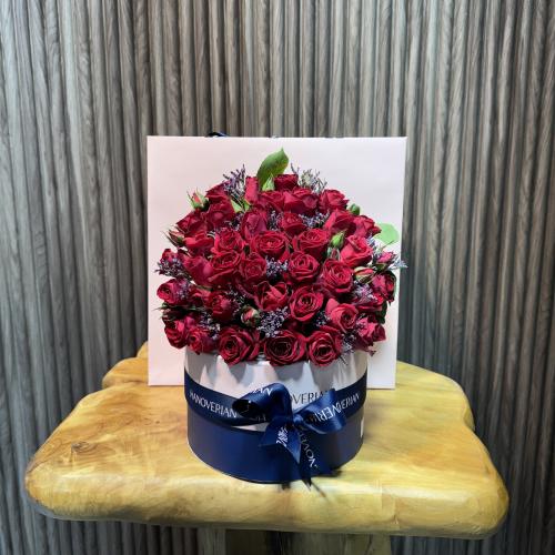 شوكلت هنوفيرين 48