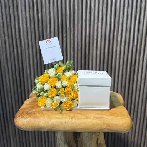 كيكة كانديرا